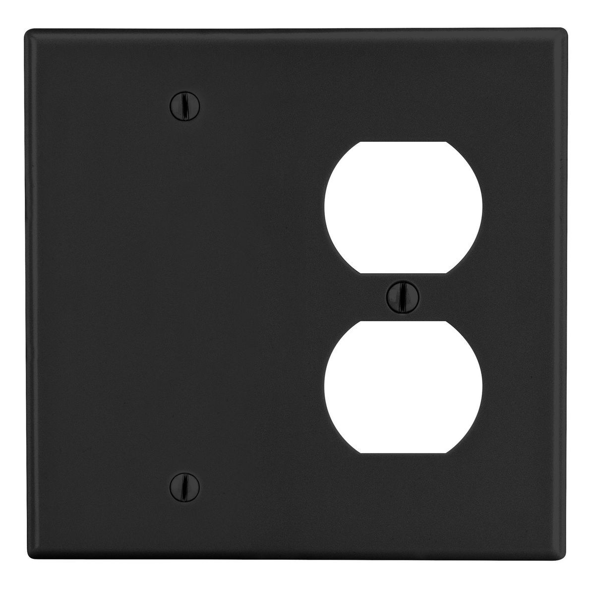 Wallplate, 2-Gang, 1) Duplex 1) Box Mount Blank, Black
