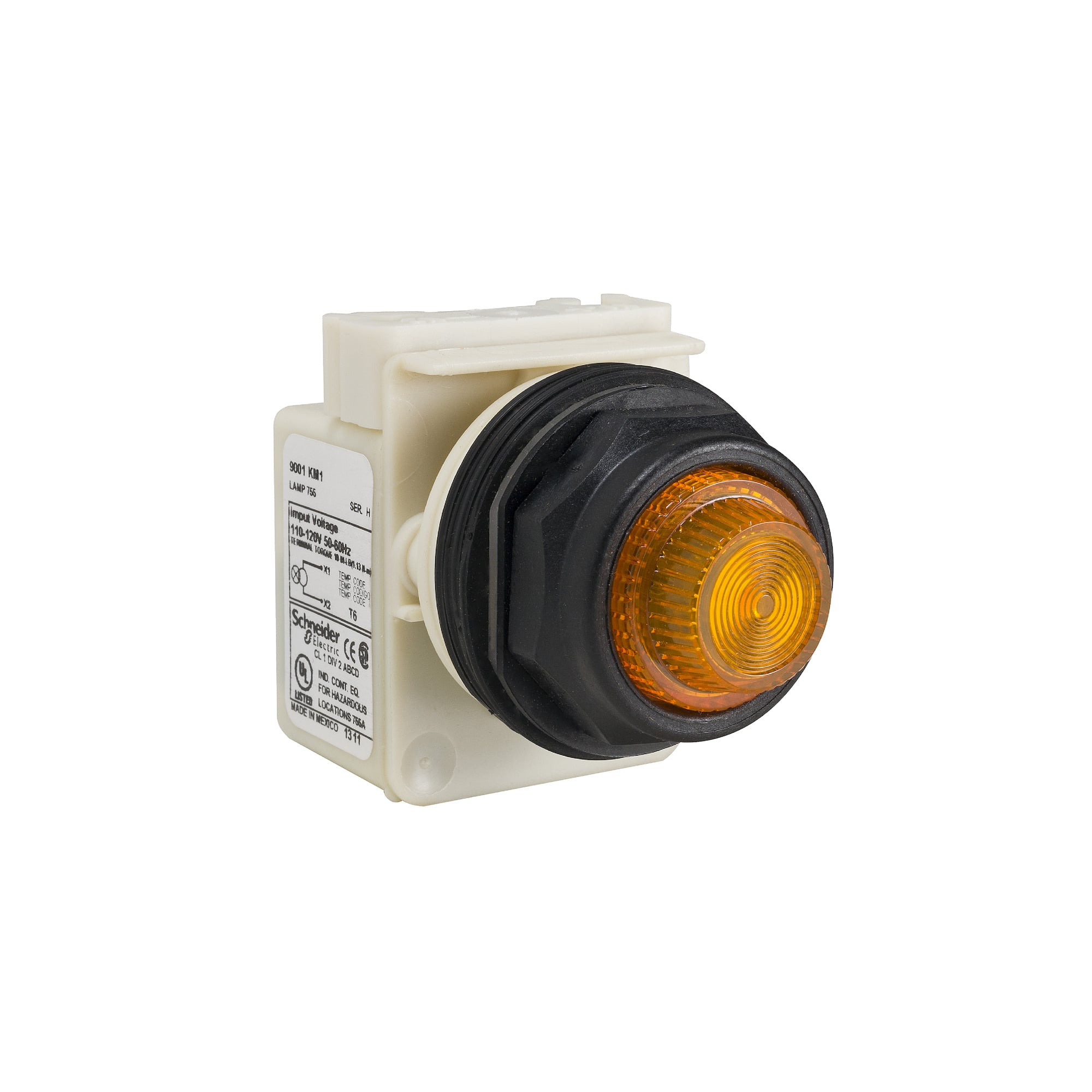 30mm push button, Type SK, push to test pilot light, yellow 24/28VAC/VDC LED light module, amber domed lens, NEMA 4, 4X