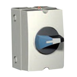 Enclosed, 60 A, Three-pole, 600 V, N4X