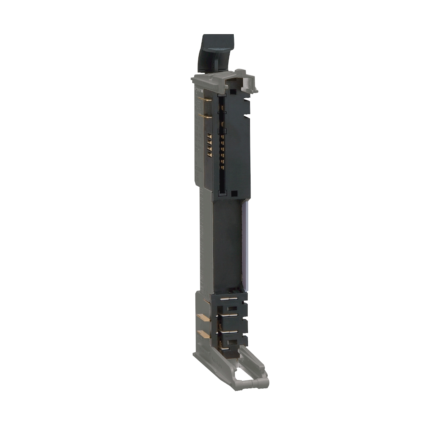 Modicon TM5, bus base with address setting, 24 V DC, grey, quantity 1