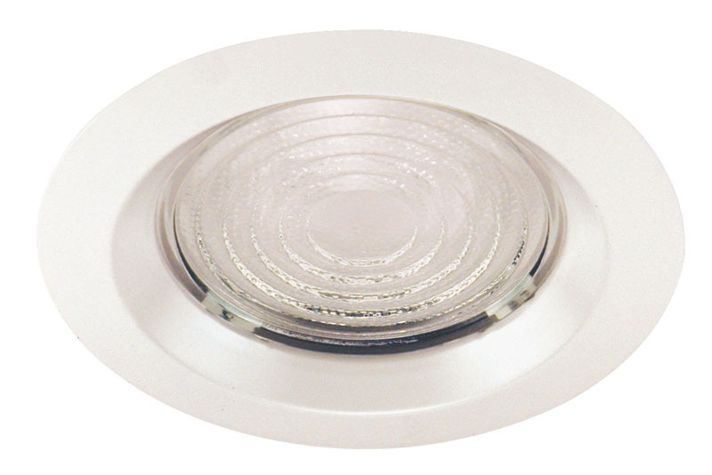 6" Fresnel Trim