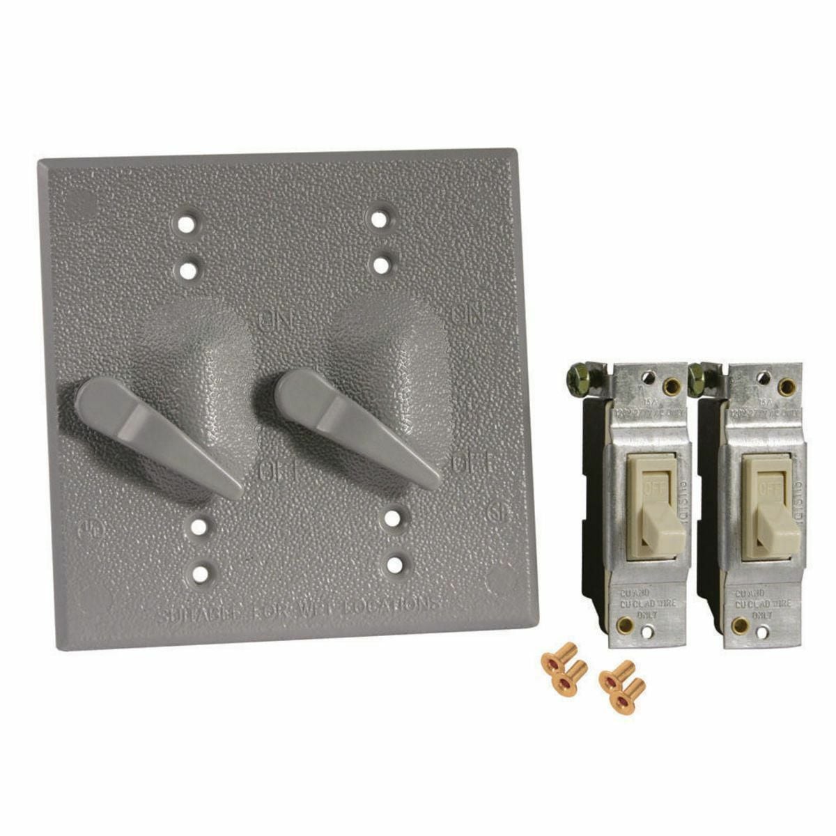 Two Gang Gray Device Mount Switch Cover, (2) SP 125V, 15A