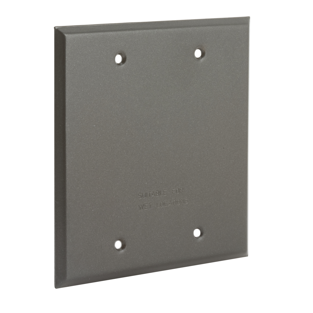 Two Gang Bronze Blank Covers - Device Mount