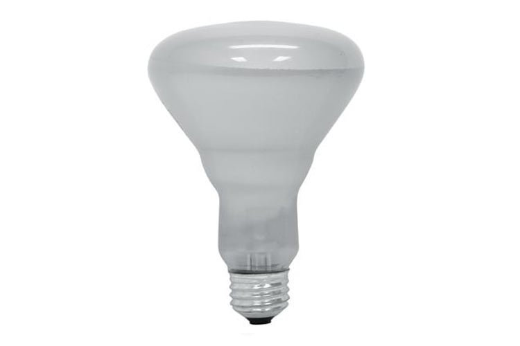 GE Proline 65-Watt BR30