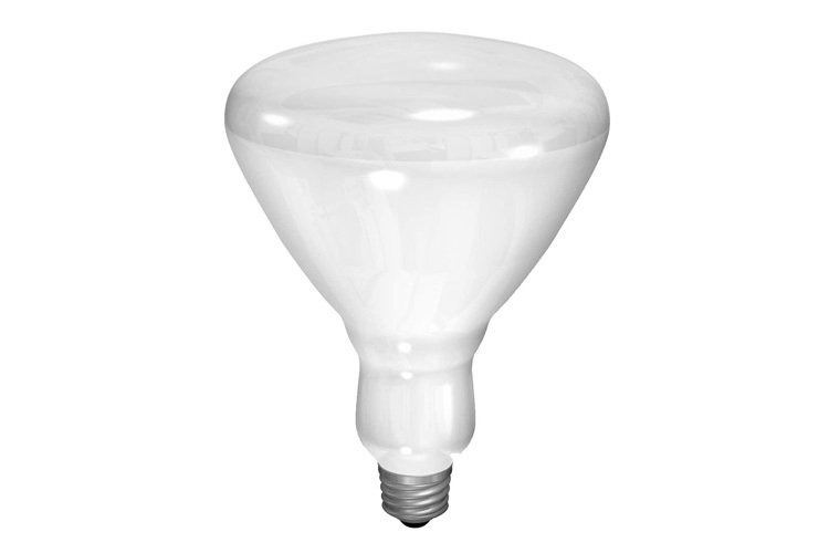 GE soft white 65 watt BR40 floodlight 1-pack