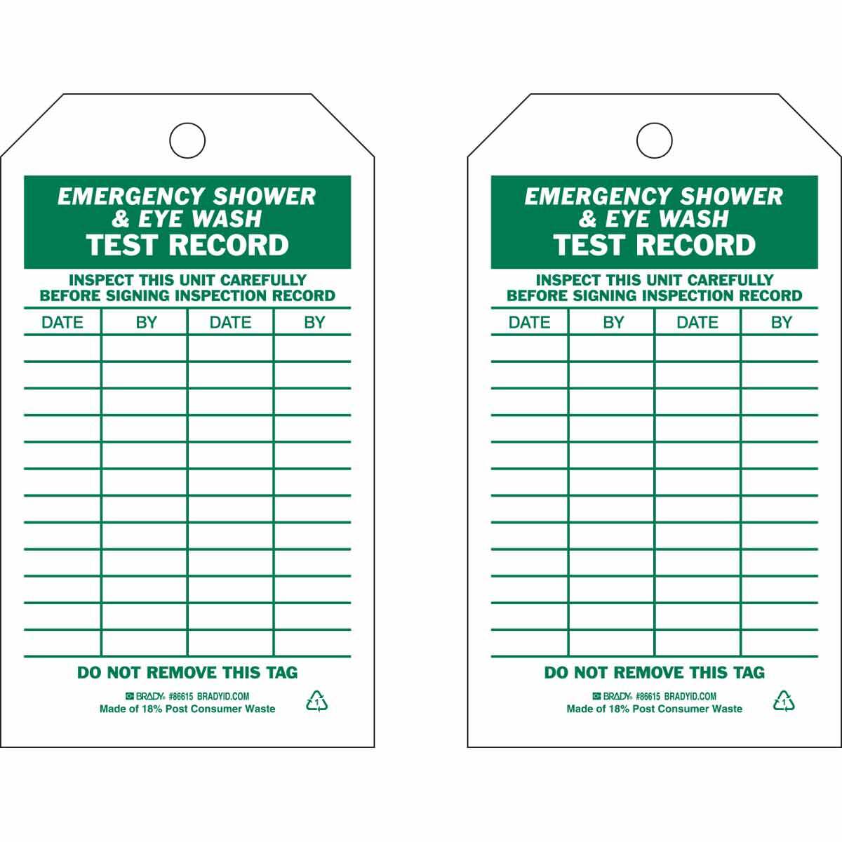 TAG B851 GRN/WHT 7X4 2-SIDES 10/PK