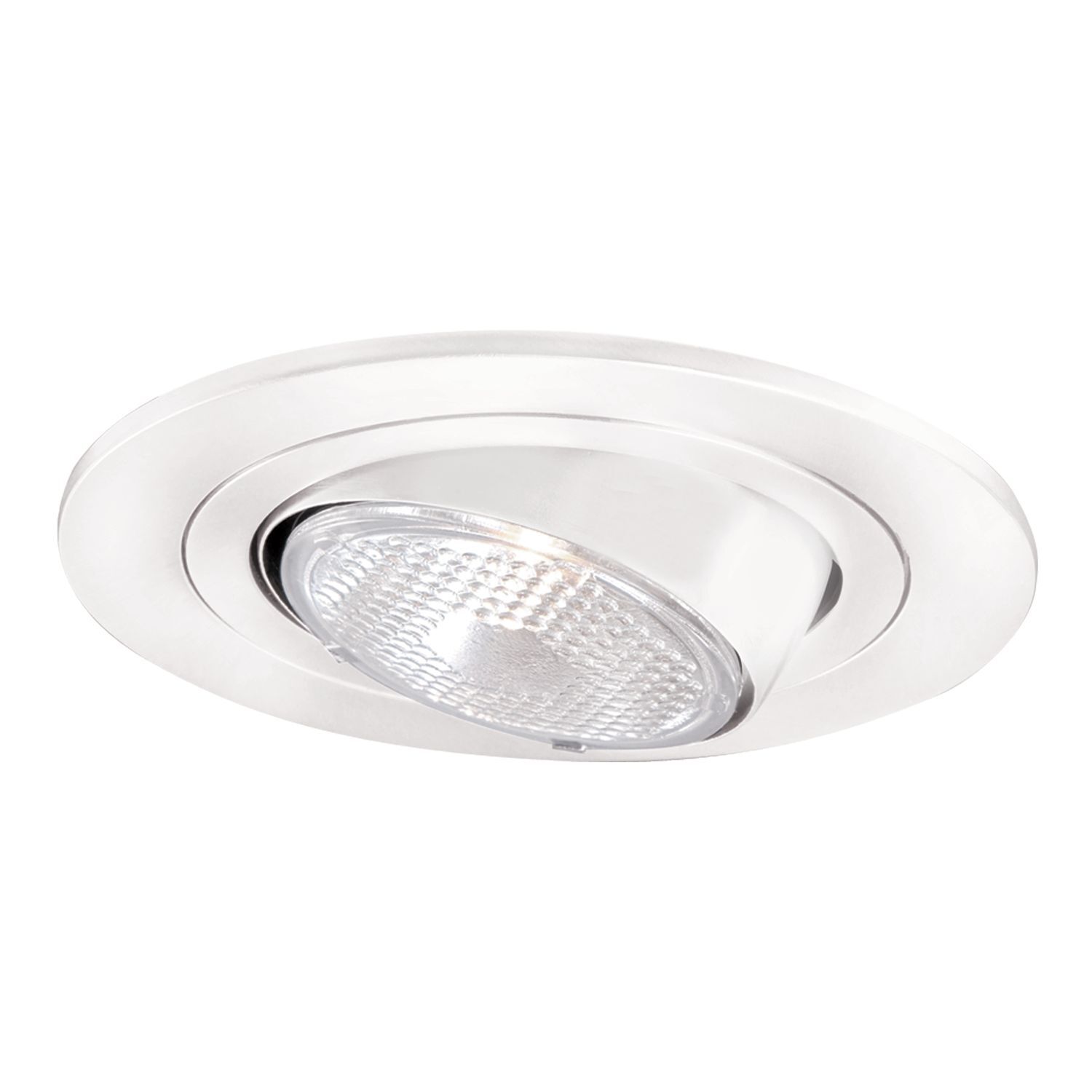 4" Trim Eyeball PAR20 Lamp White Trim with White Eyeball