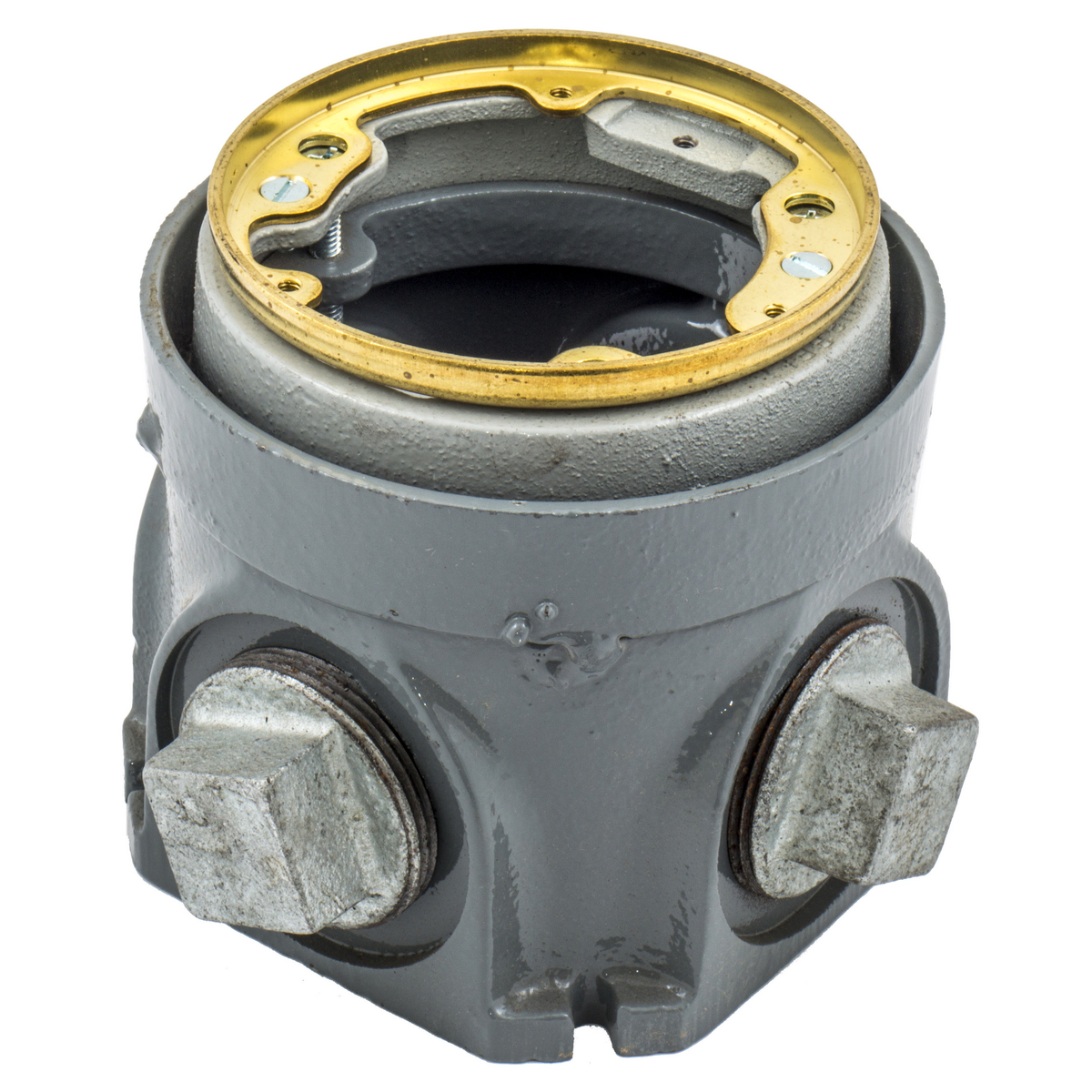 Flush Concrete Floor Box Series, 1-Gang, Round, Cast Iron Box, Deep, Fully Adjustable, Single Service, Brass Top