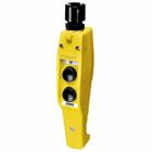 Switches and Lighting Controls, Industrial Grade, Pendant Controls, Two Button Compact Version, Single Speed Normally Open, Pilot Duty, 240VAC, Terminal Screws, Yellow