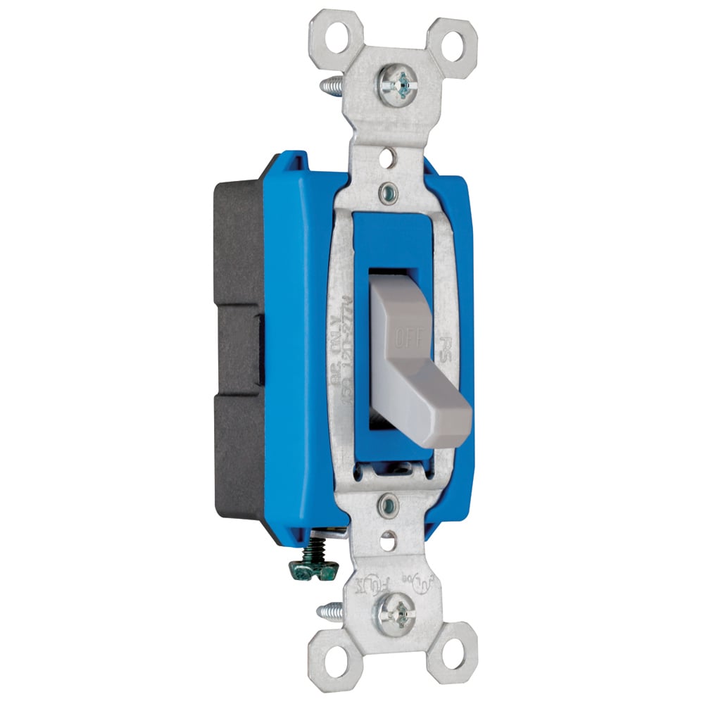 CS15AC1GRY Commerical Switch, Gray