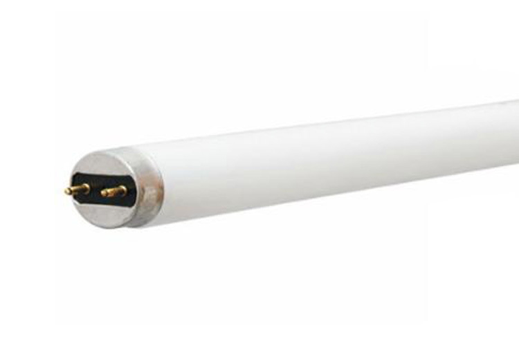 GE, 15 WTT, 700 LM, 6500 KV, 75 CRI, 1 IN Diameter, 18 IN Length, Medium Bi-Pin (G13) Base, 7500 HR Average Life