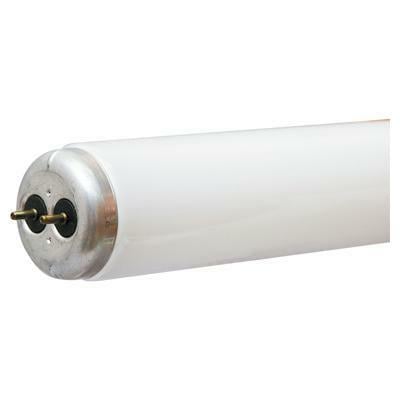 10244   FLUORESCENT