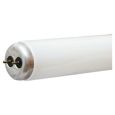 10261 FLUORESCENT