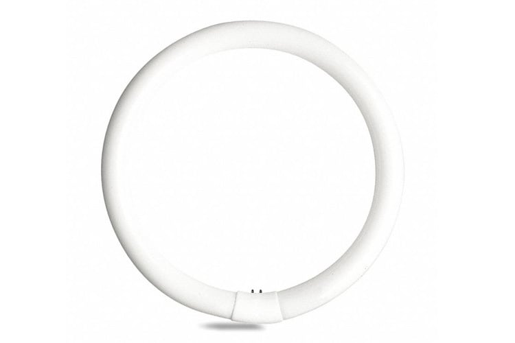 GE garage & basement circline 22 watt T9 circline 1-pack