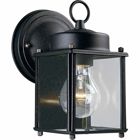 Coach lantern with clear, flat glass and black back panel.
