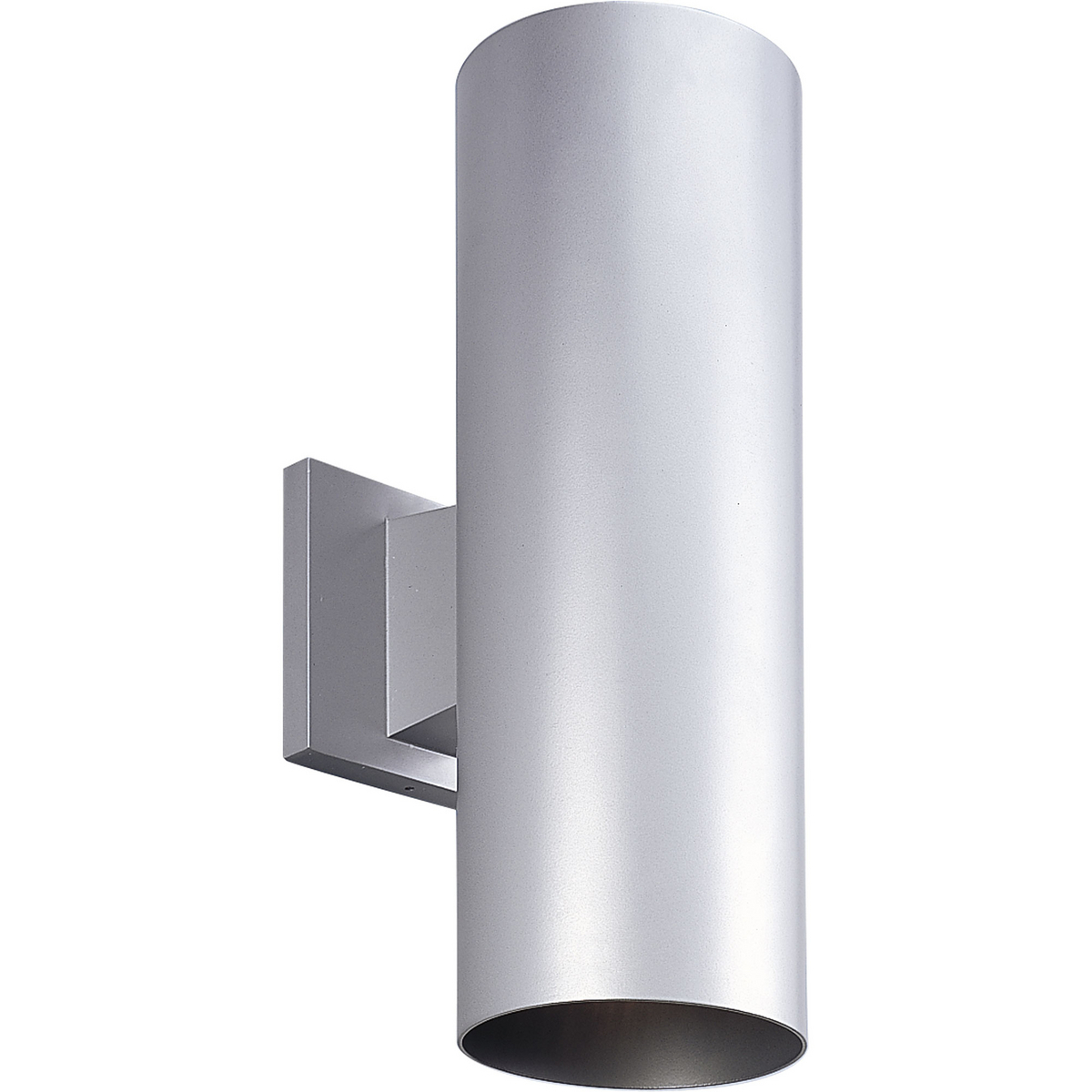 2-75W PAR-30/BR-30 WALL Metallic Gray