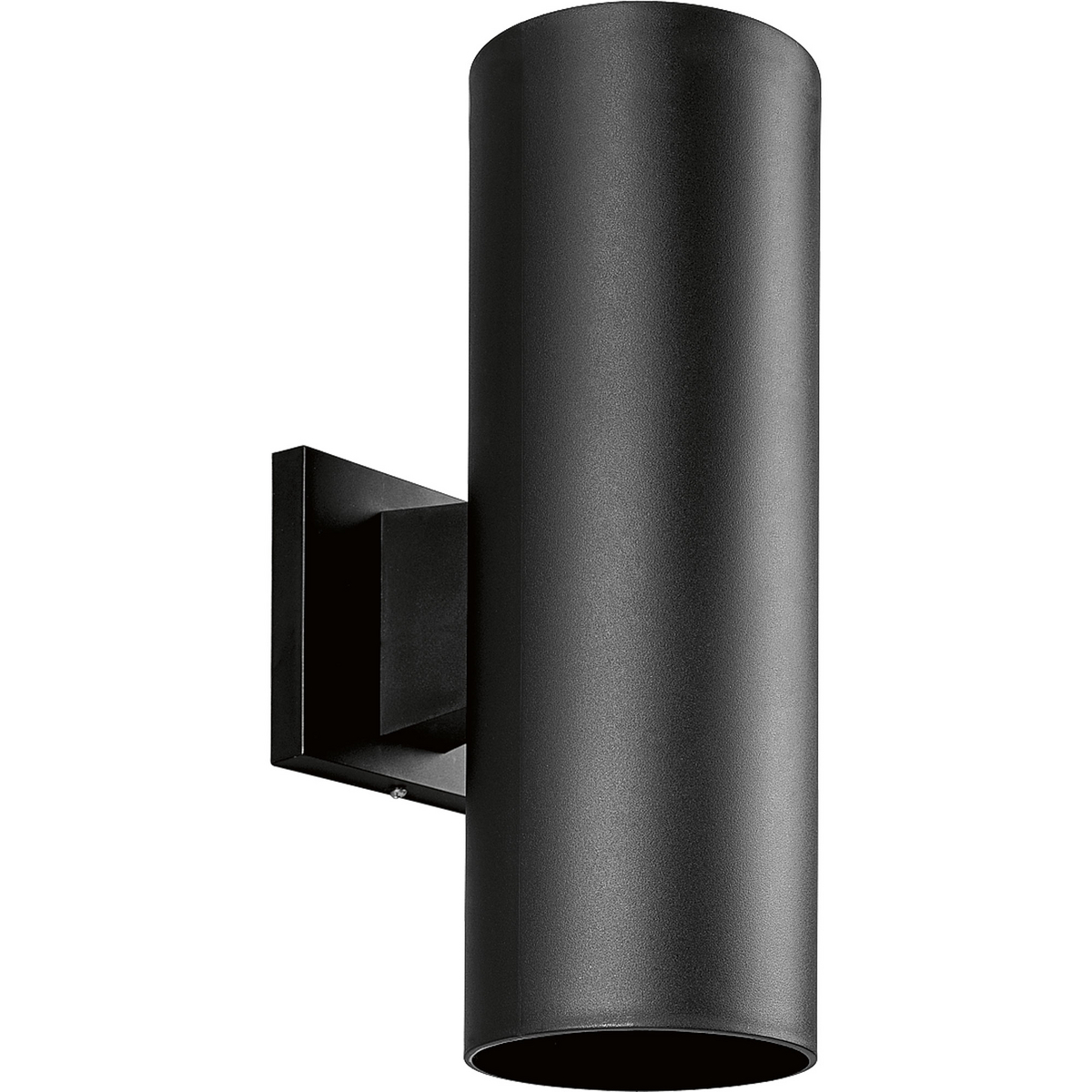 2-65W PAR 30 5in U/D CYL Black