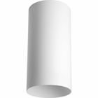 6 in flush mount cylinder with heavy duty aluminum construction. Powder coated finish. UL listed for damp locations. White finish.