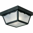 A black two-light non-metallic ceiling light featuring a one-piece, white acrylic diffuser. The fixture is complete with scalloped edge detailing to enhance any outdoor space.