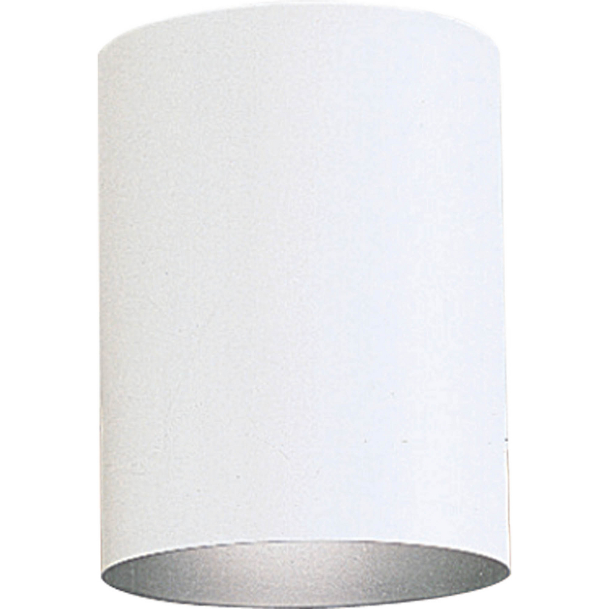 1-75W PAR-30/BR-30 CTC White