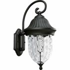 Capture the romance with this one-light wall lantern from the Coventry collection that features optic hammered glass, stylized cap and Sheppard's hook. Die-cast aluminum construction. Textured Black finish.
