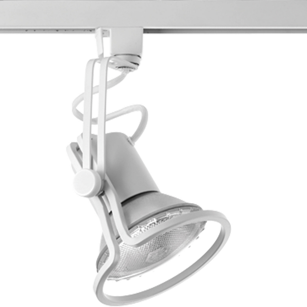 Free Form 1-75W PAR30 TRACK HEAD WH