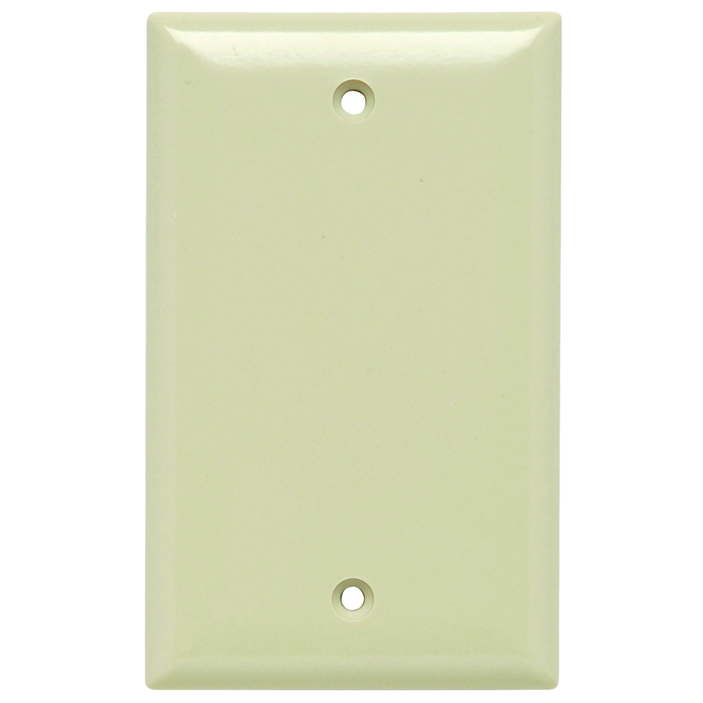 Plate Plastic 1gang Blank Without Line Ivory
