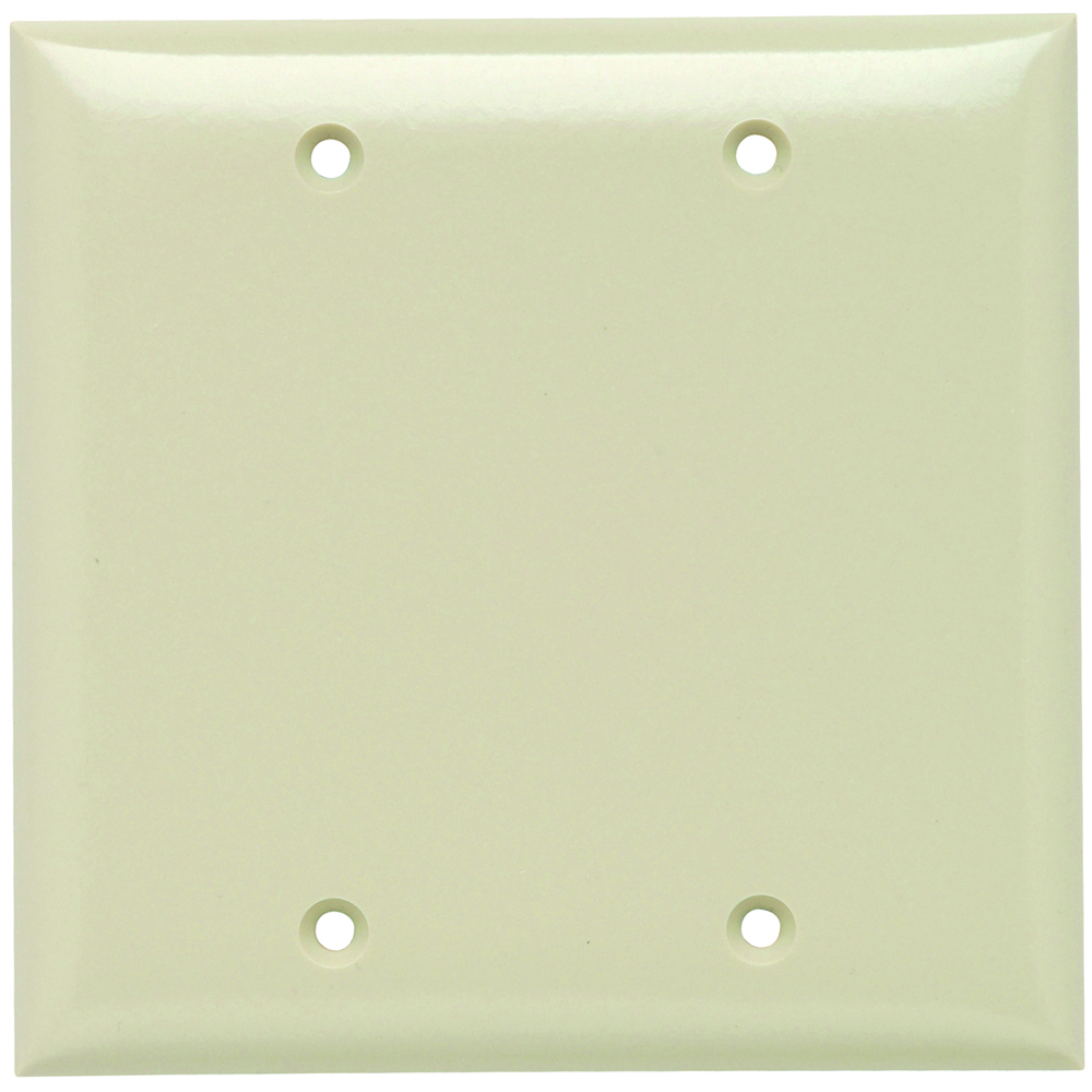 Plate Plastic 2gang Blank Without Line Ivory