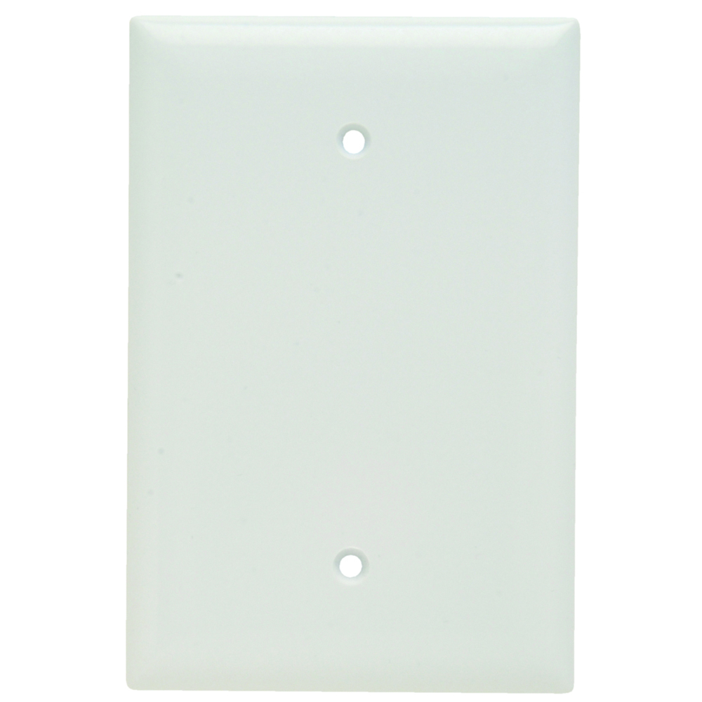 Blank Plate, Box Mounted, One Gang, White