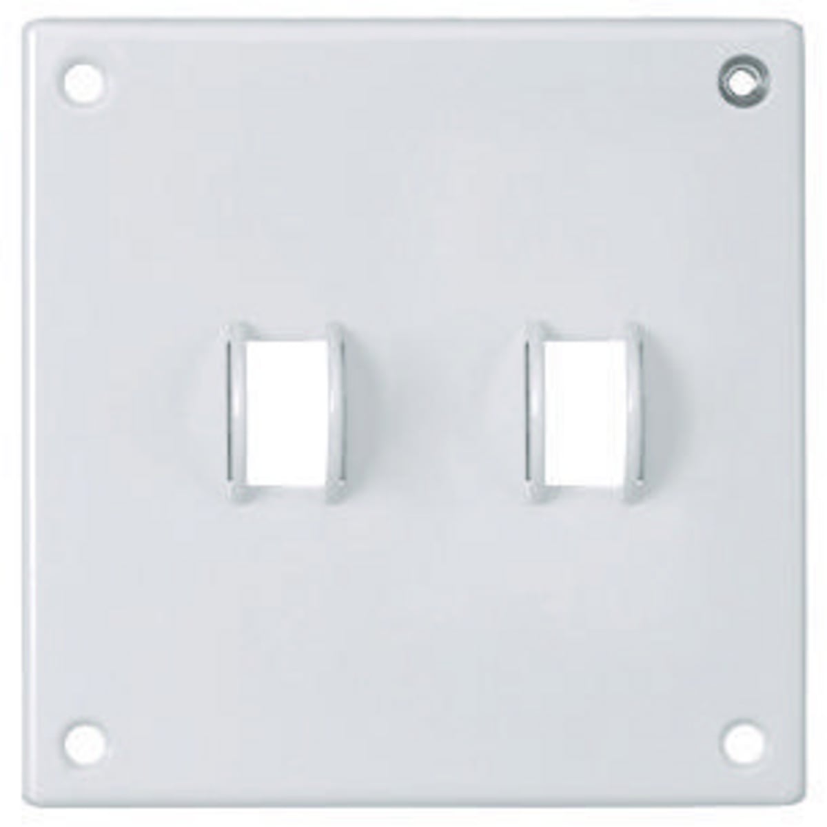 Security Double Wallplate, Two Toggle Openings, Standard Size Painted