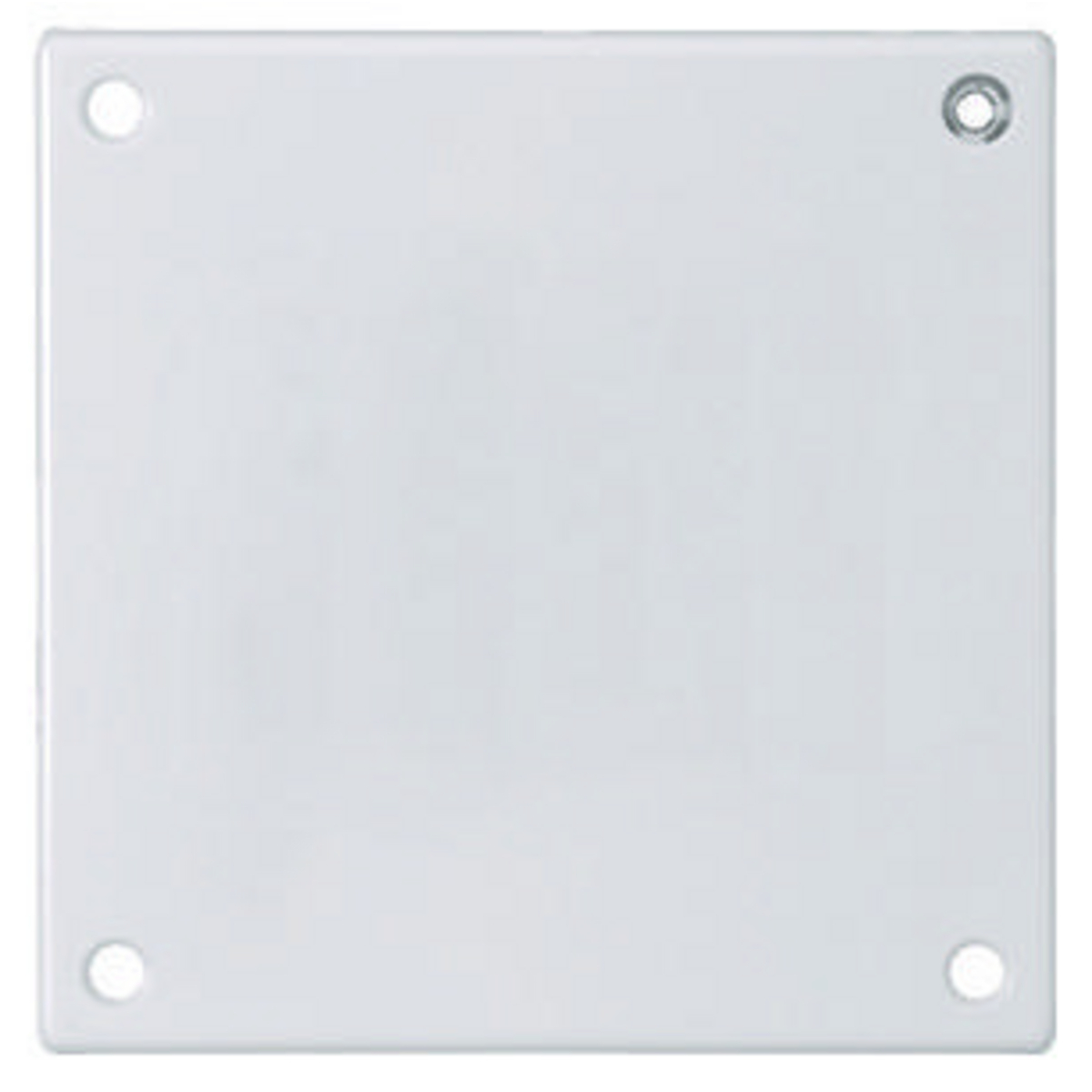 Security Double Wallplate, Blank, Standard Size Painted