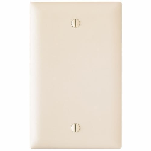 Trademaster Wall Plate, single gang and blank box mount, is molded of rugged, practically indestructible self-extinguishing nylon. It is preferred for hospital, industrial, institutional, and other high-abuse applications. Available in Ivory, White, Brown, Gray, Black, Blue, Orange, Red, and Light Almond.