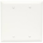 Trademaster Plate, double gang, blank box mount, is molded of rugged, practically indestructible self-extinguishing nylon. It is preferred for hospital, industrial, institutional, and other high-abuse applications. Available in Ivory, White, Brown, Gray, Black, Blue, Orange, Red, and Light Almond.