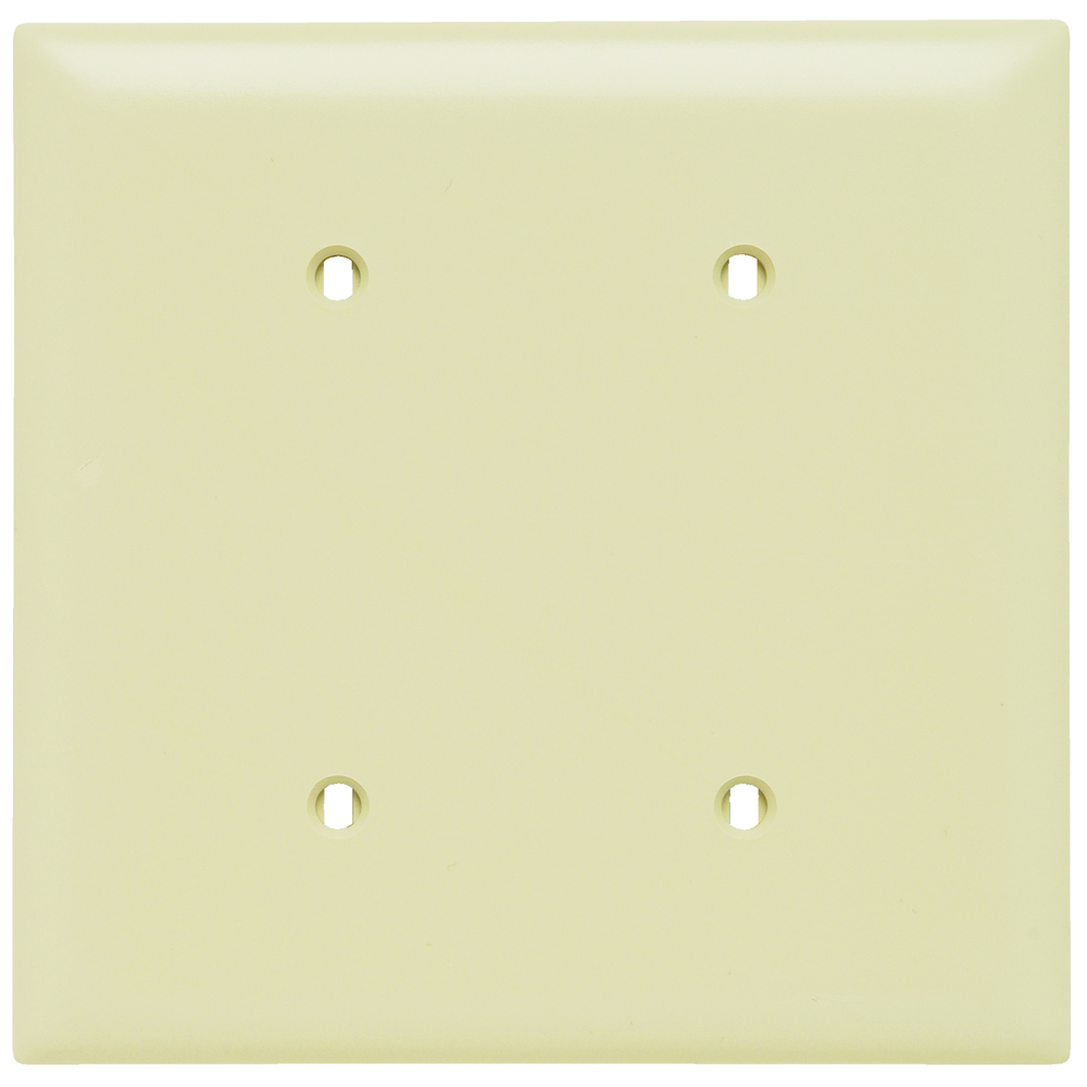 Trademaster Plate 2gang Blank Strap Mount Ivory