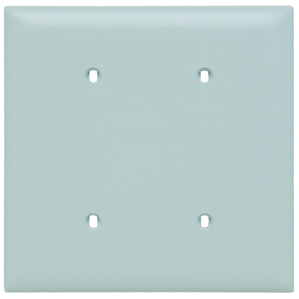 Trademaster Plate 2gang Blank Strap Mount White