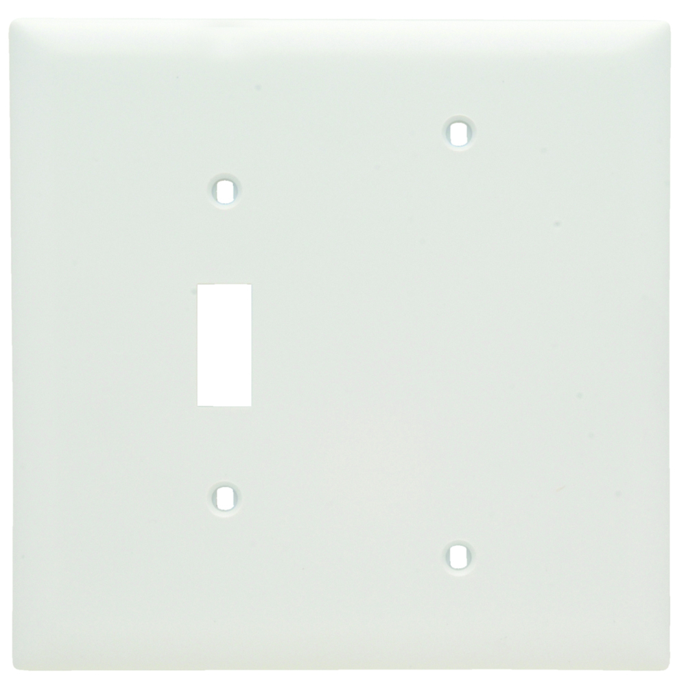 Combination Wall Plate, 1 Toggle Switch and, 1 Blank, Two Gang, White