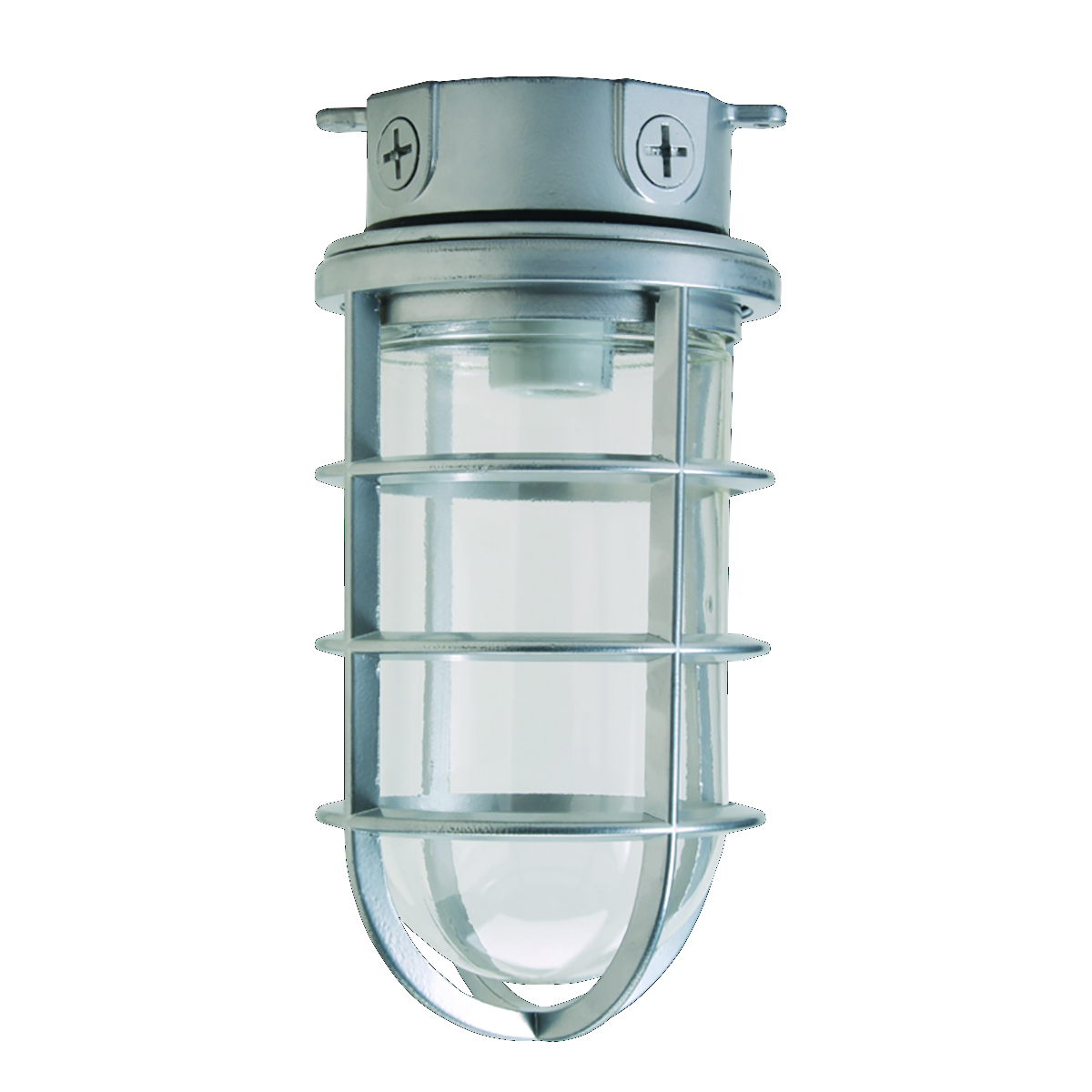 Accessory Guard 150w Cast aluminum