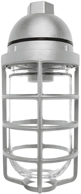 Vaporproof 100 Pendant 3/4 Inch With Glass Globe Cast Guard