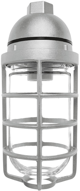 Vaporproof 200 Pendant 3/4 Inch With Glass Globe Cast Guard