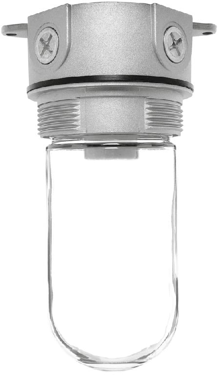 Vaporproof 100 Ceiling 4 Inch Box 1/2 Inch With Glass Globe
