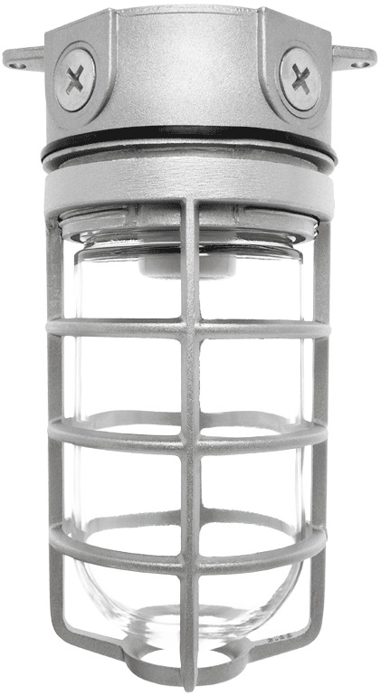 Vaporproof 100 Ceiling 4 Inch Box 3/4 Inch With Gl Globe Cast Guard