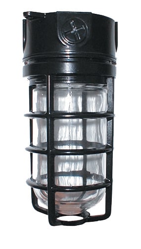Vaporproof 100 Ceiling 4 Inch Box 1/2 Inch, Black Gl Globe Cast Gd