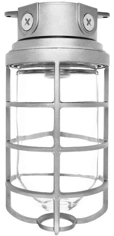 Vaporproof 200 Ceiling 4 Inch Box 1/2 Inch With Glass Globe Cast Gd