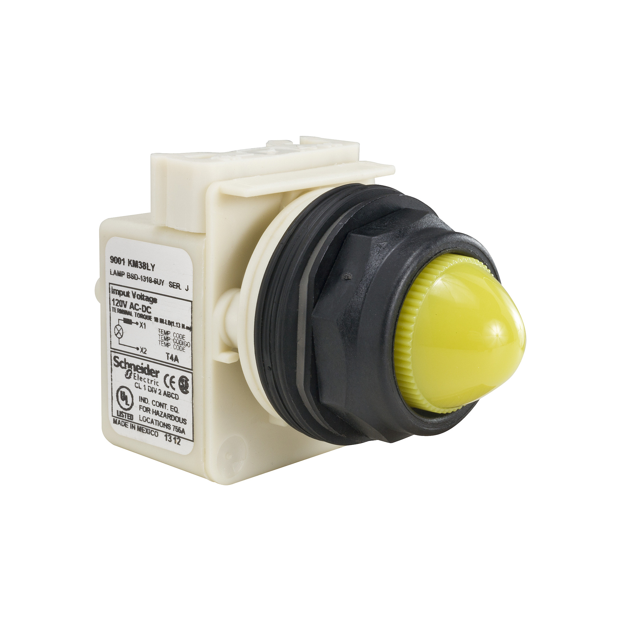 PILOT LIGHT 120V 30MM SK +OPTIONS