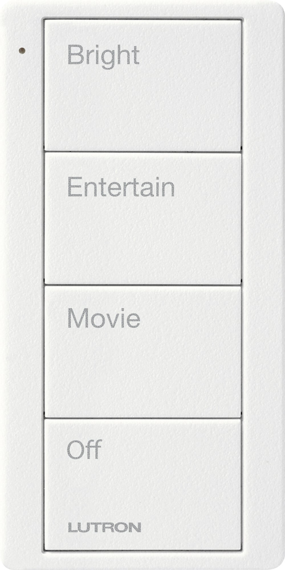 Pico Wireless Control, 4-button, 434 MHz, scene control of lights, family room text engraving, in snow