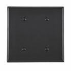 2-Gang No Device Blank Wallplate, Standard Size, Thermoplastic Nylon, Strap Mount,     - Black