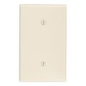 1-Gang No Device Blank Wallplate, Standard Size, Thermoset, Strap Mount, Ivory