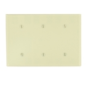 3-Gang No Device Blank Wallplate, Thermoset, Strap Mount, Ivory