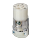 20 Amp, 125 Volt, Connector, Straight Blade, Hospital Grade, Grounding, Transparent