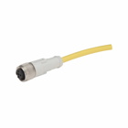 Eaton Photoelectric Sensor Connector Cable, Global Plus, Accessory, Sensor connectivity, Micro-style straight female, DC, 4-wire, 22 AWG, 6.6 ft, 4 pin, PVC, 320V